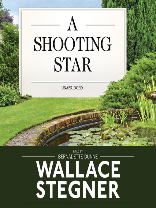 Cover image for A Shooting Star